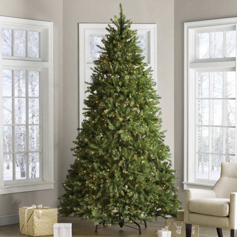 Laurel Foundry Modern Farmhouse Dunhill Fir 9' Green Fir Artificial